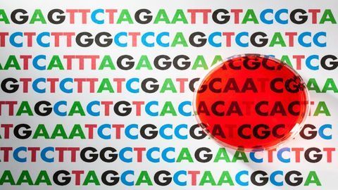 Personalized Medicine Complicated by Overlapping Versions of Our Genetic History