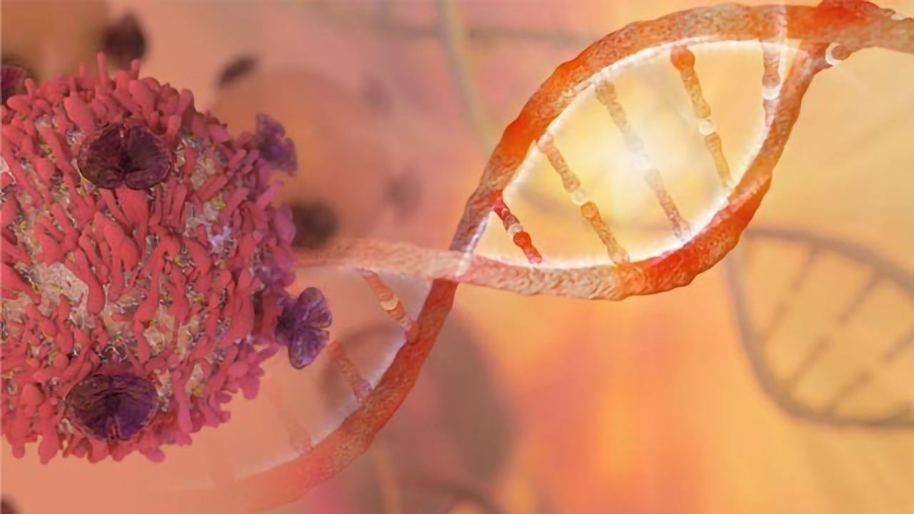 Novel Tumor Sampling Approach Improves Genetic Testing for Cancer Treatment