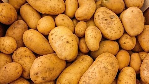 Spud Power! Potatoes Are More Than Carbs