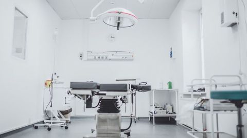 Animal Study Suggests Liver Surgery Success Could Be Boosted by Growth Hormone