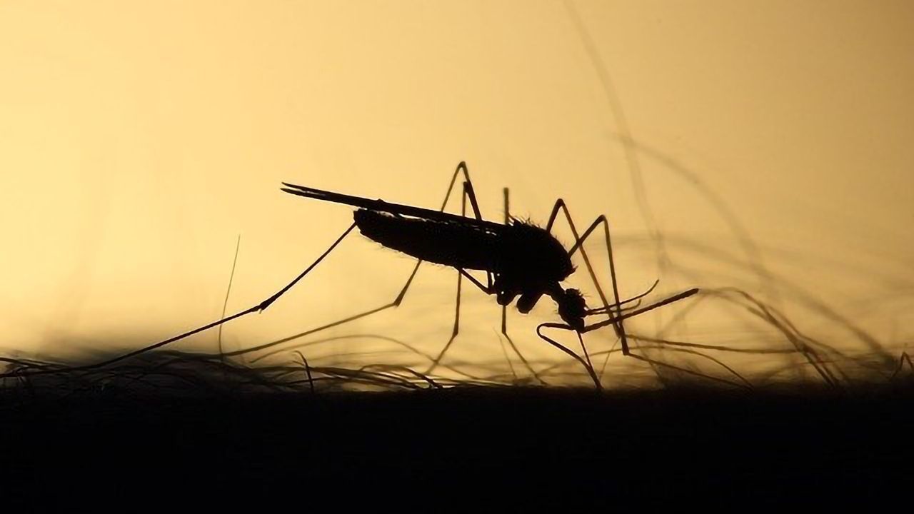 Tool Could Improve Accuracy of Disease Modeling