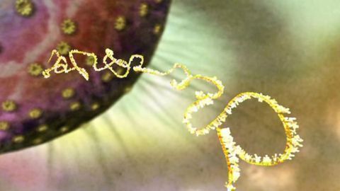 Structures of RNA No Longer a “Blur” Thanks to Bioinformatics