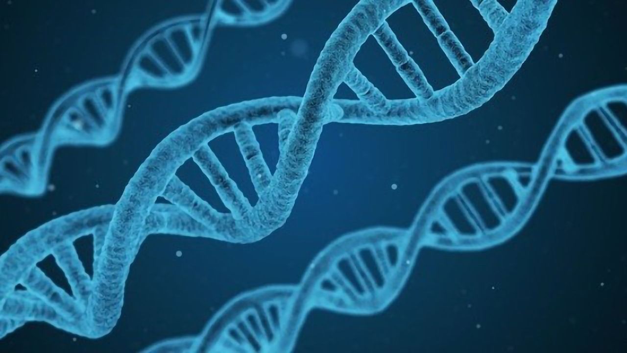 First-in-Kind Study Reveals Genetic Markers of Type 2 Diabetes in East Asians