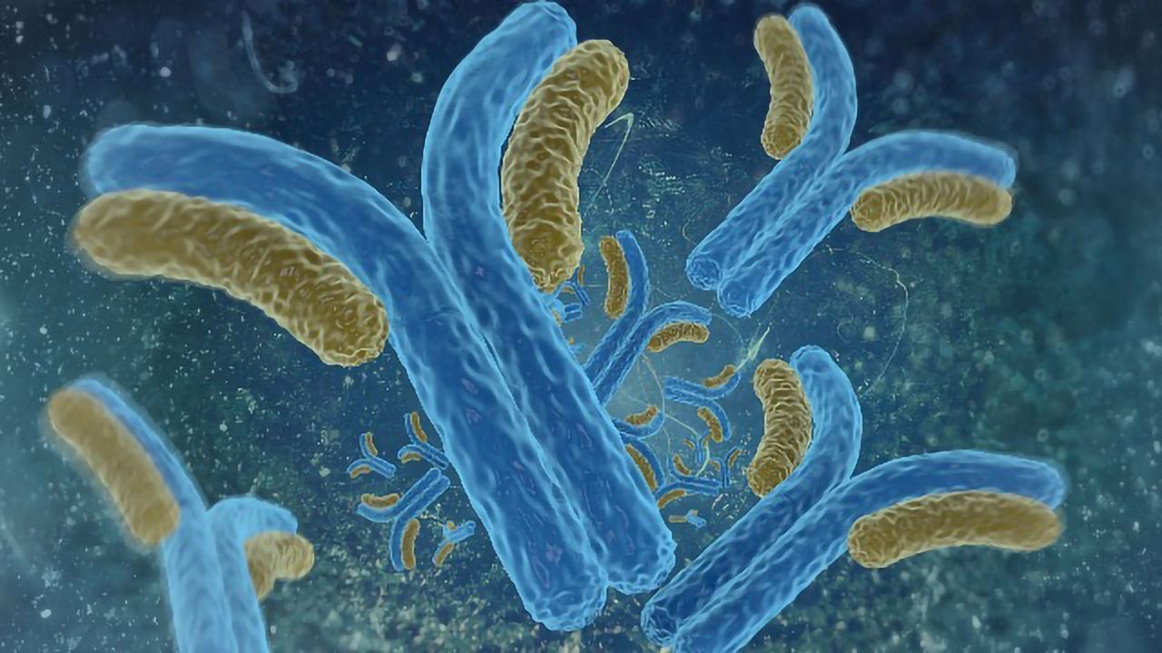 IONTAS Announces New Collaboration to Identify Novel Immunotherapy Targets