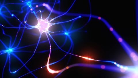 Highly Excitable Brain Neurons in Visual Cortex May Reduce Mental Imagery