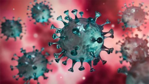 Custom Lentivirus Pseudotyped with Spike Glycoprotein from SARS-CoV-2