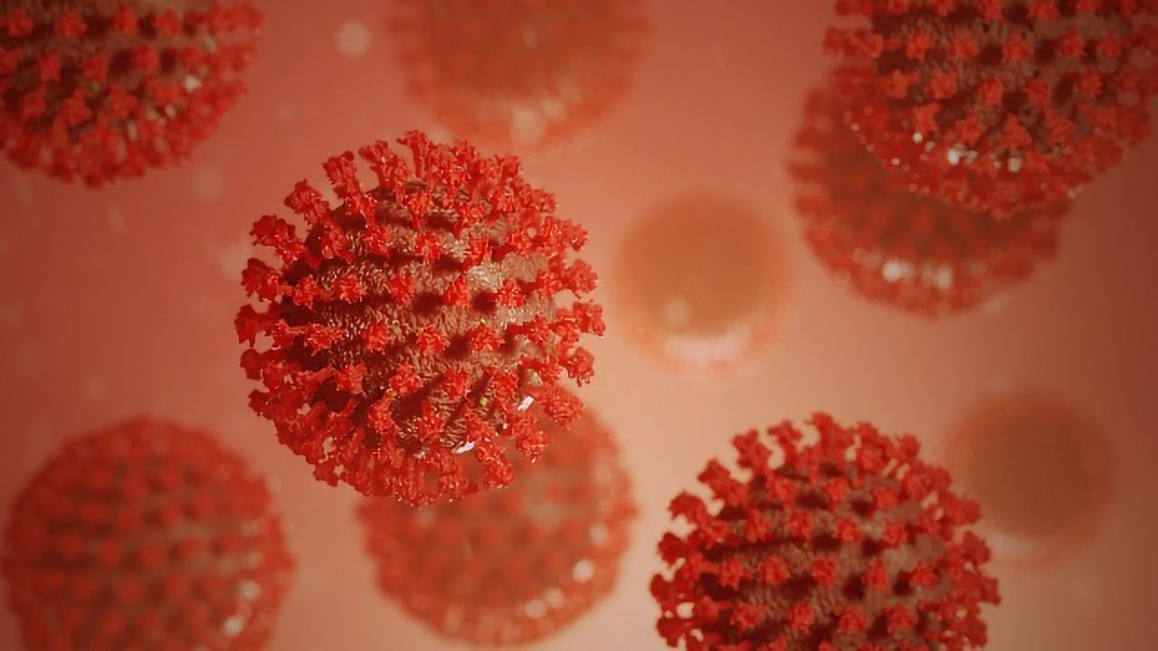 One-step Test Could Provide Rapid and Sensitive COVID-19 Detection