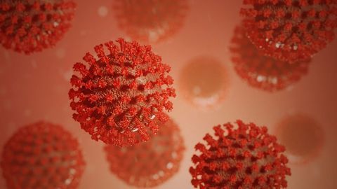 One-step Test Could Provide Rapid and Sensitive COVID-19 Detection