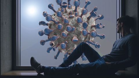 New Study Found an Association Between Low/Average Vitamin D and High Numbers of COVID-19 Cases and Mortality