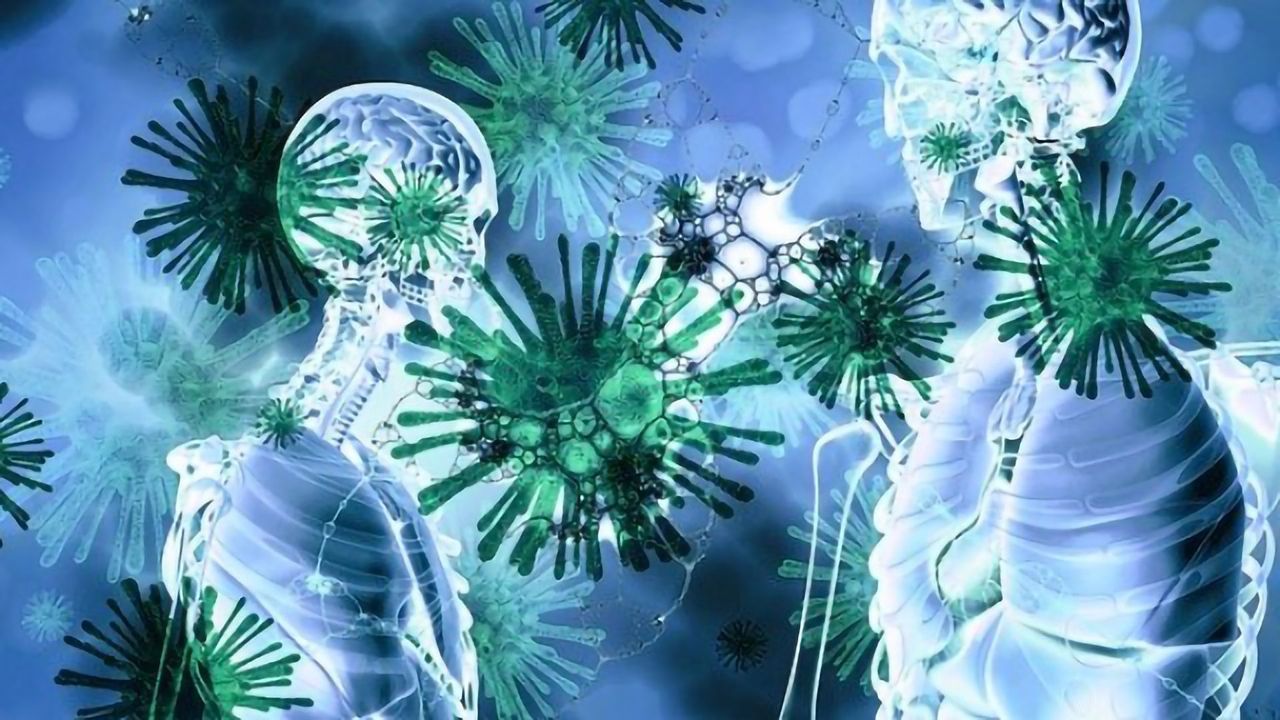 Newly Discovered Dendritic Cell Important in Respiratory Infections