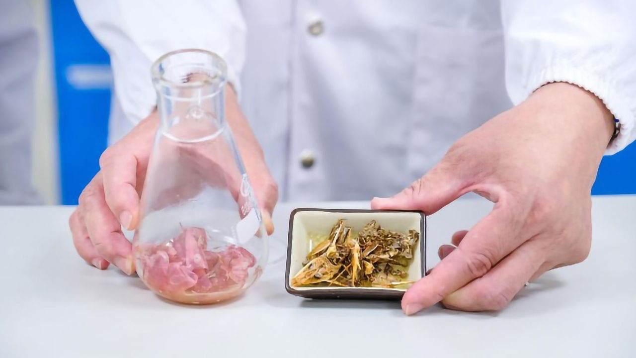 Turning Food Waste Into Useful Chitin