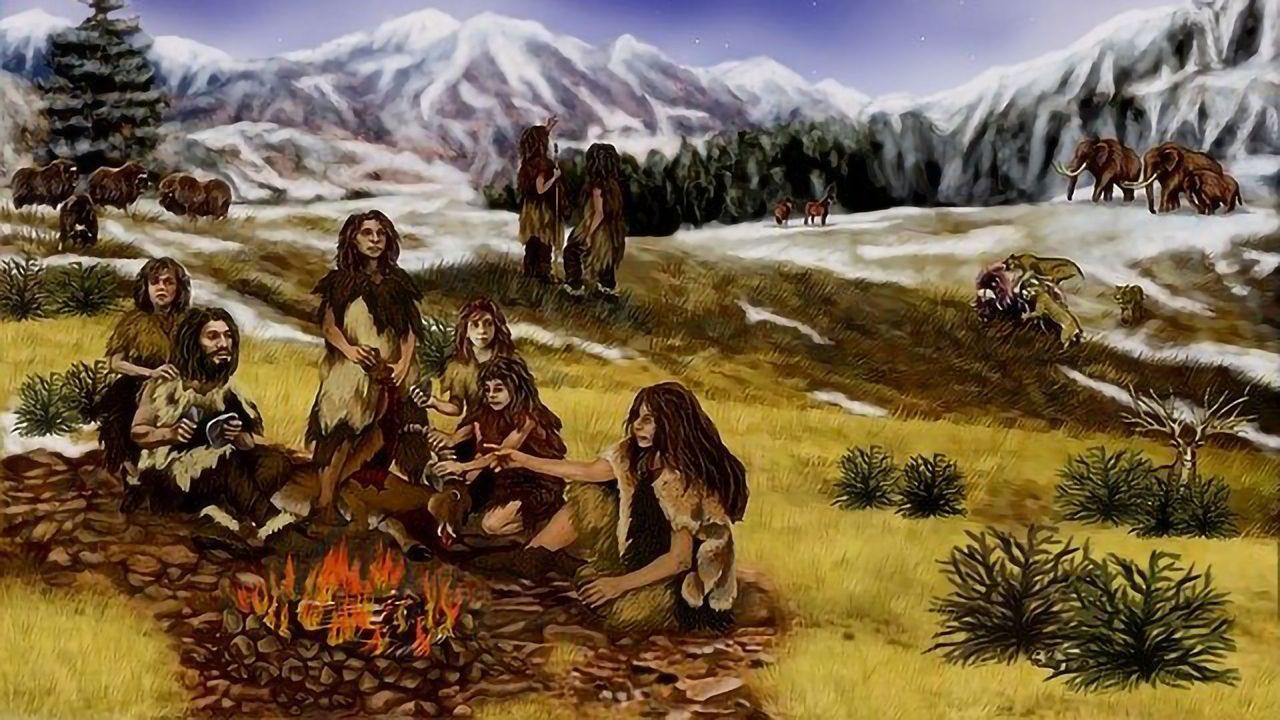 Neandertals Were Choosy When It Came To Making Tools