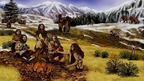 Neandertals Were Choosy When It Came To Making Tools