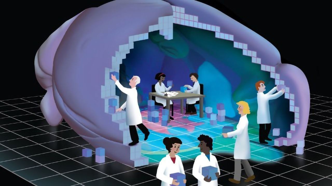 The Allen Institute Releases Version Three of Its High-definition 3D Map of the Mouse Brain