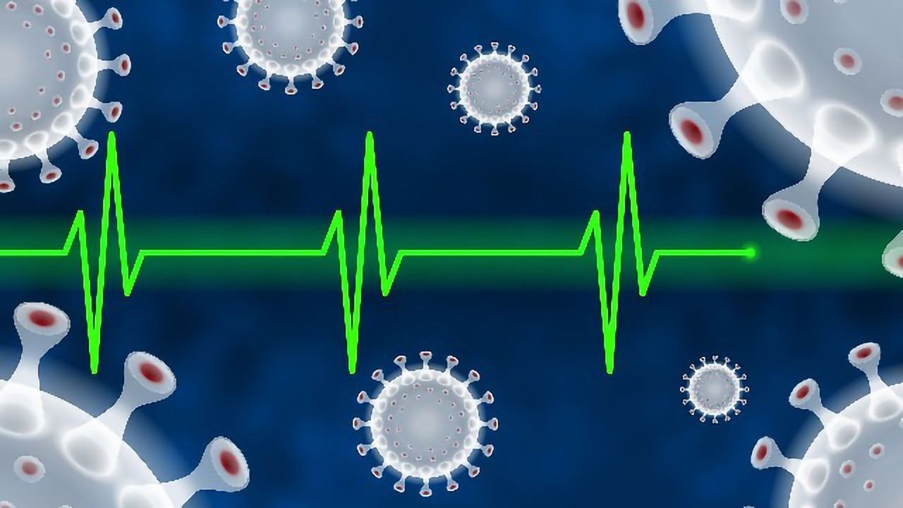Study Shows Concentrations of ACE2 in the Blood of Heart Failure Patients Are Greater in Men