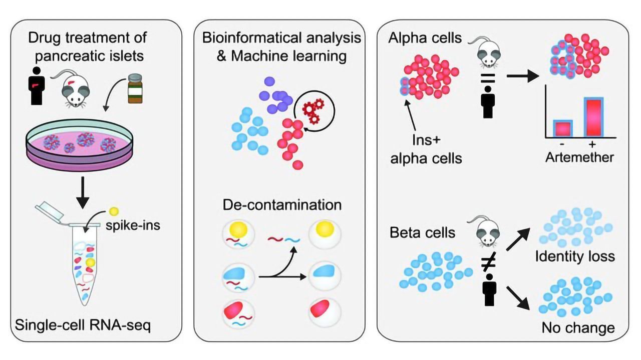 Single-cell RNA Seq Method Accurately Quantifies Cell-specific Drug Effects