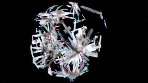 Novel Chemistry Technique Could Fast-track Drug Development