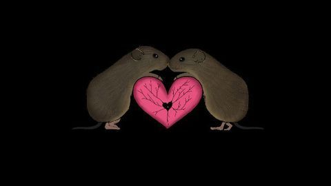 A Neural Basis for Longing: Absence Makes the Heart Grow Fonder and the Nucleus Accumbens Activate