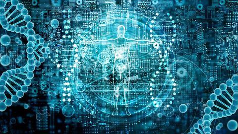 New Software To Analyze Individual Lipids