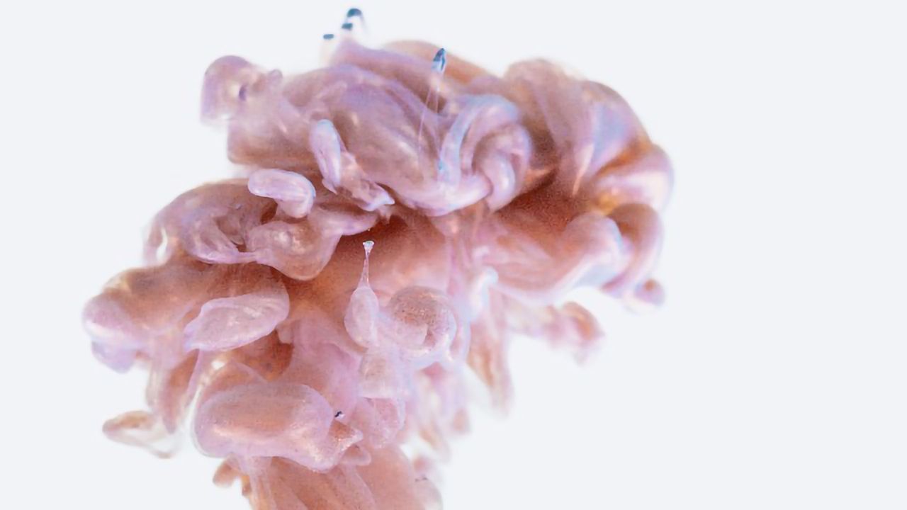 The Startup Turning Yeast Into Psychedelics