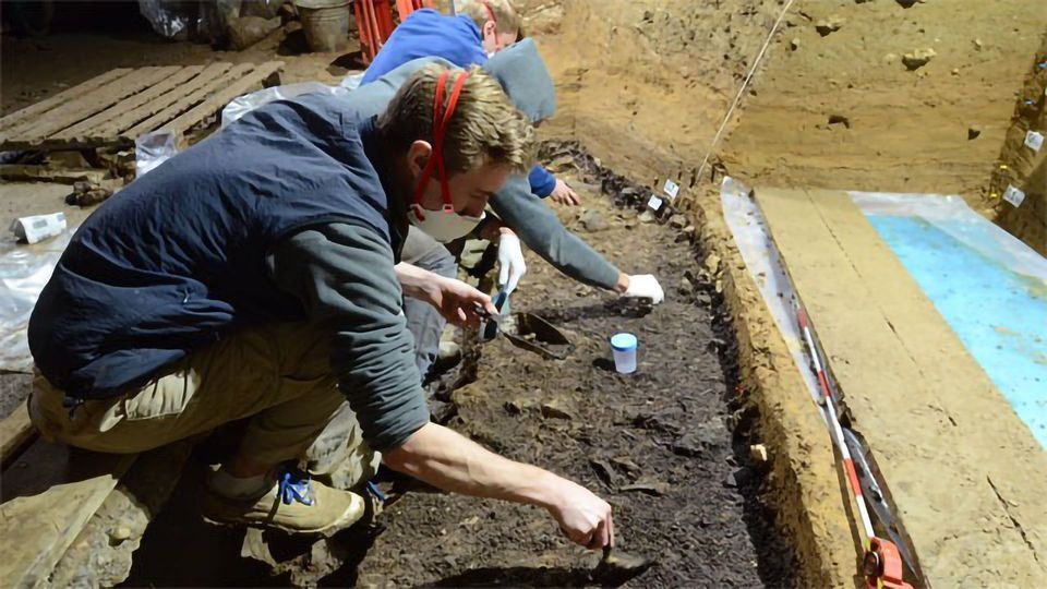 Fossils From Bulgaria Are Earliest Known Upper Paleolithic Homo sapiens content piece image