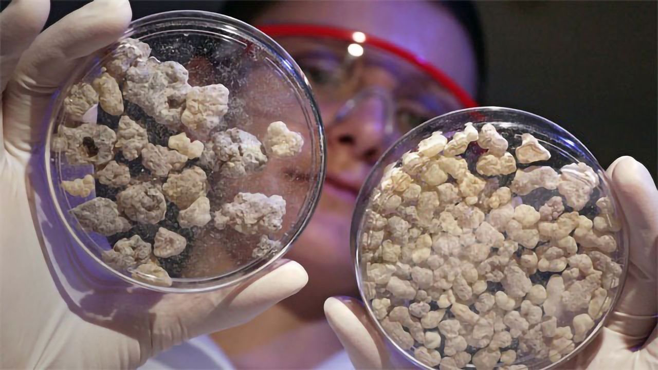 Frankincense Reprograms Inflammatory Enzyme Into an Anti-inflammatory Protein