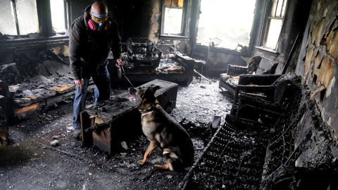 Dogs' Sensitive Noses Invaluable in Arson Investigations