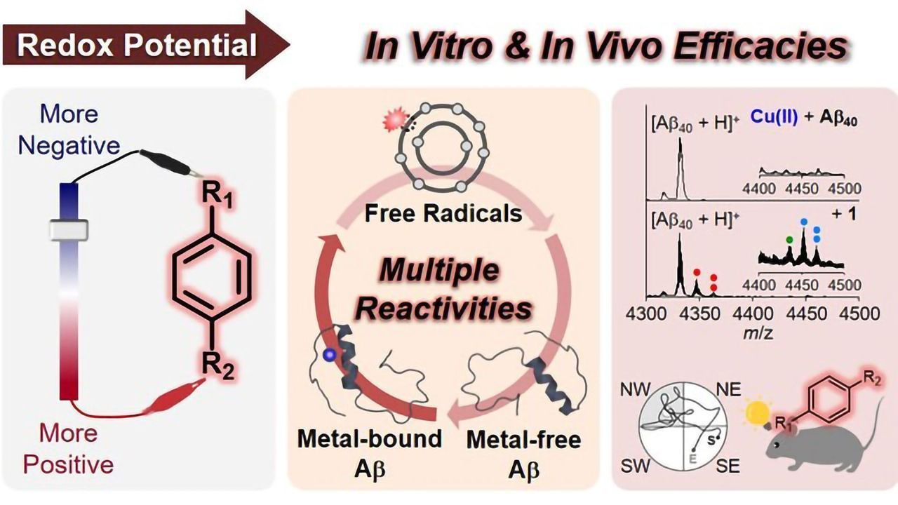 Designing Alzheimer's Therapies at the Molecular Level
