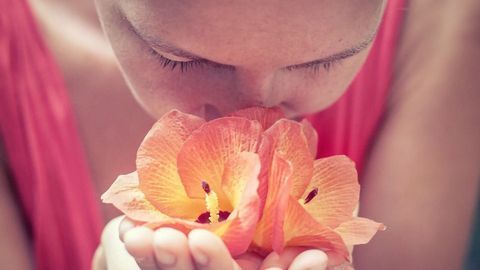 Mouse Study Explores Why COVID-19 Patients Can Lose Their Sense of Smell