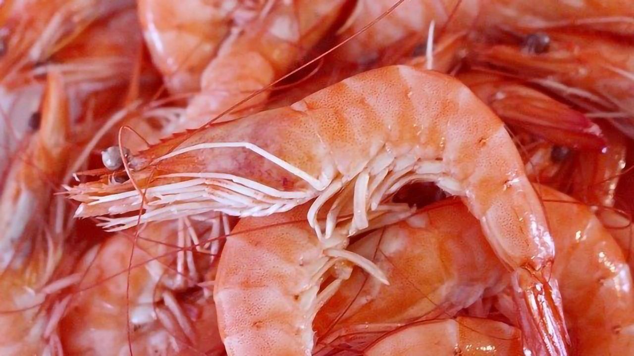 5-in-1 Antibiotic-Detection Assays for Farmed Shrimp
