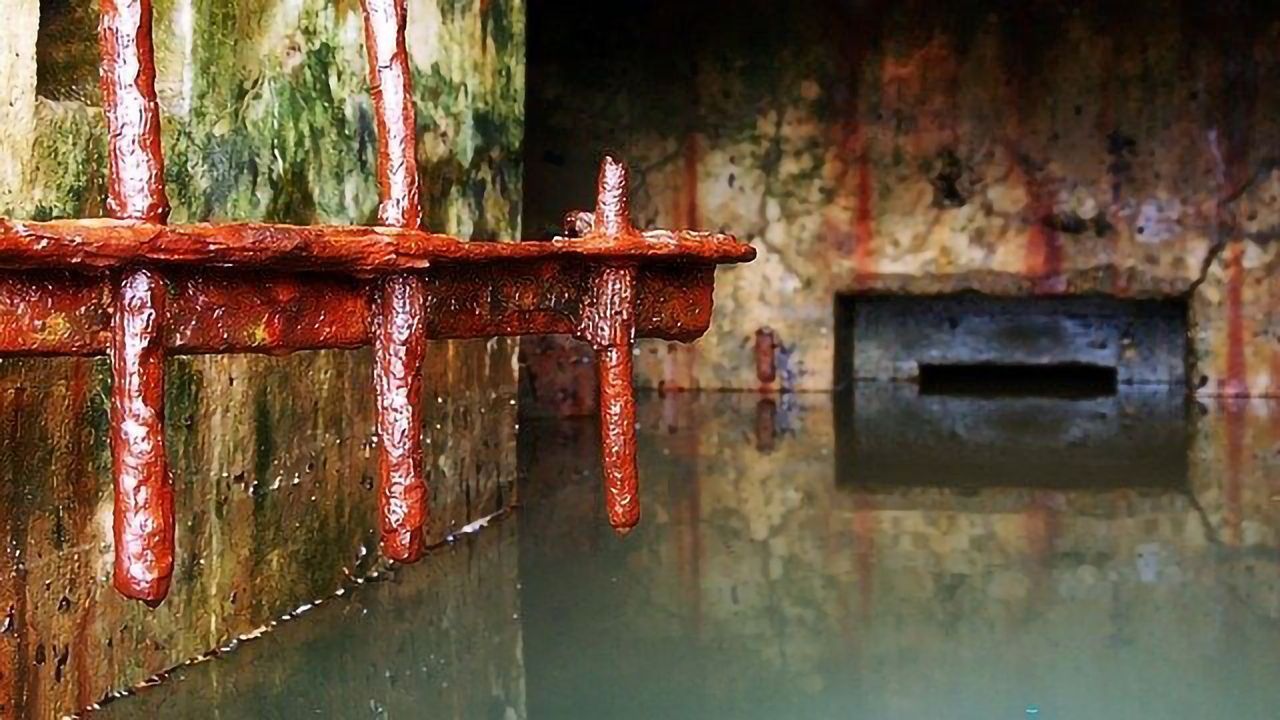 Monitoring Wastewater Could Be Key to Tracking a Second Wave of COVID-19