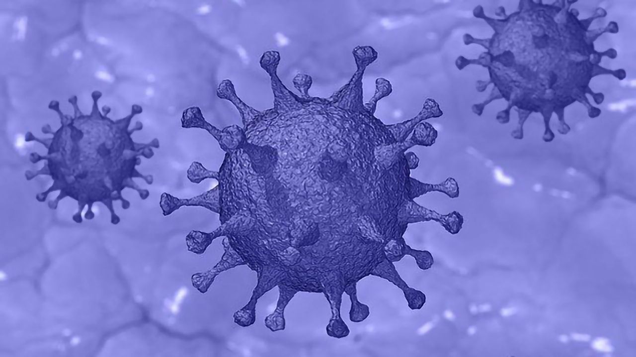 Study Suggests Children With Cancer Are Not at Higher Risk of COVID-19 Infection or Morbidity
