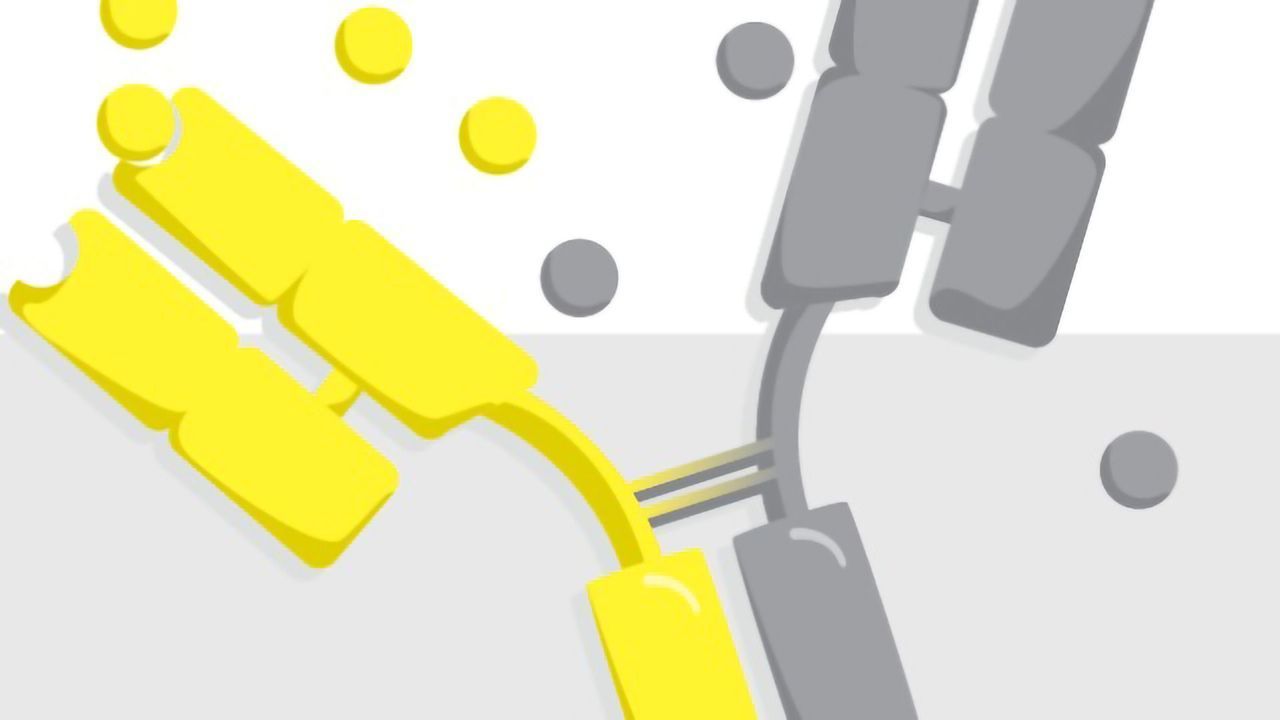 Developing Next-generation Therapeutic Antibodies