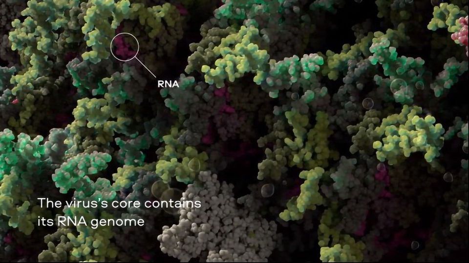 3D Model of the SARS-CoV-2 Virus at Atomic Resolution content piece image