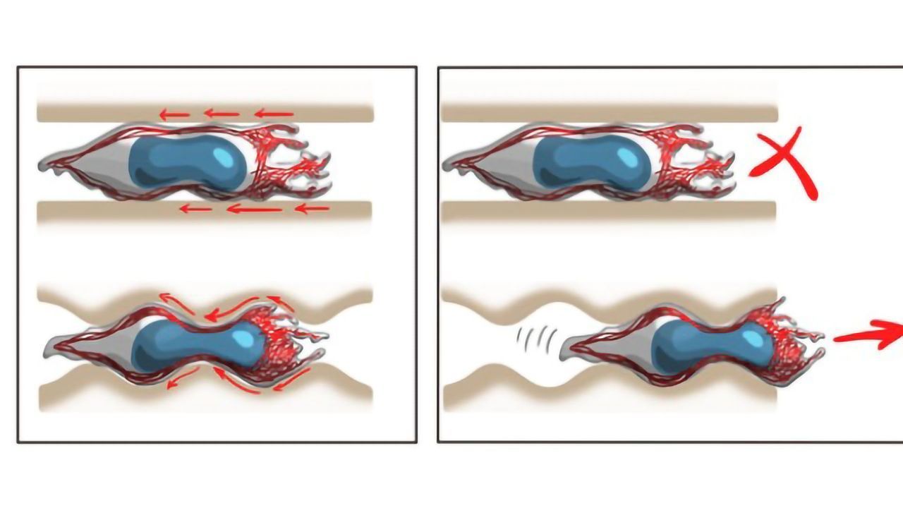"Off-road" Mode Enables Mobile Cells To Move Freely