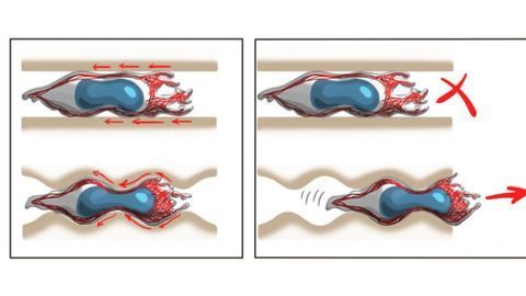 "Off-road" Mode Enables Mobile Cells To Move Freely