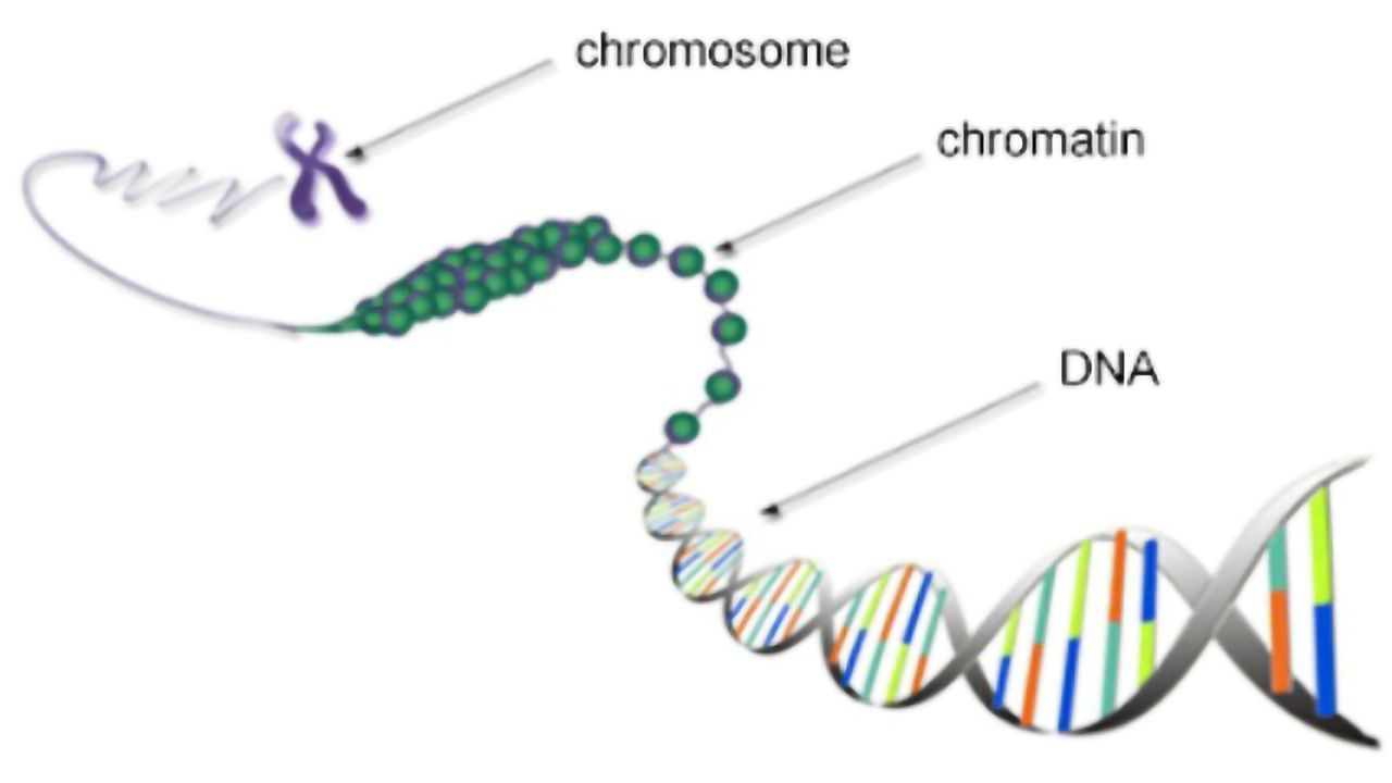A Method for Assessing the Role of Long Non-protein Coding RNAs