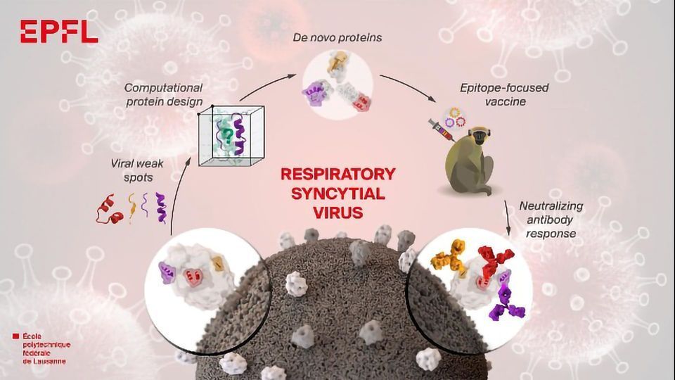 Designing Vaccines Using Artificial Proteins content piece image