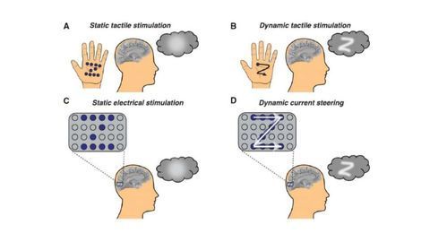 Blind Adults Were Able To "See" Letters Traced on Their Brain Using Electrical Stimulation