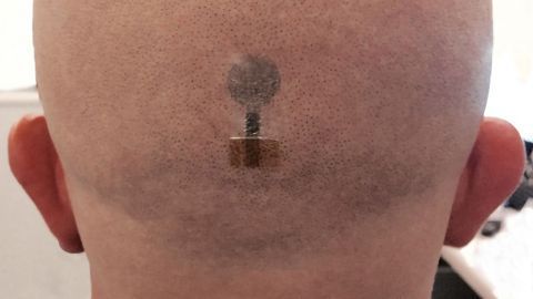 "Tattoo Electrodes" Can Now Be Used To Measure Brain Activity