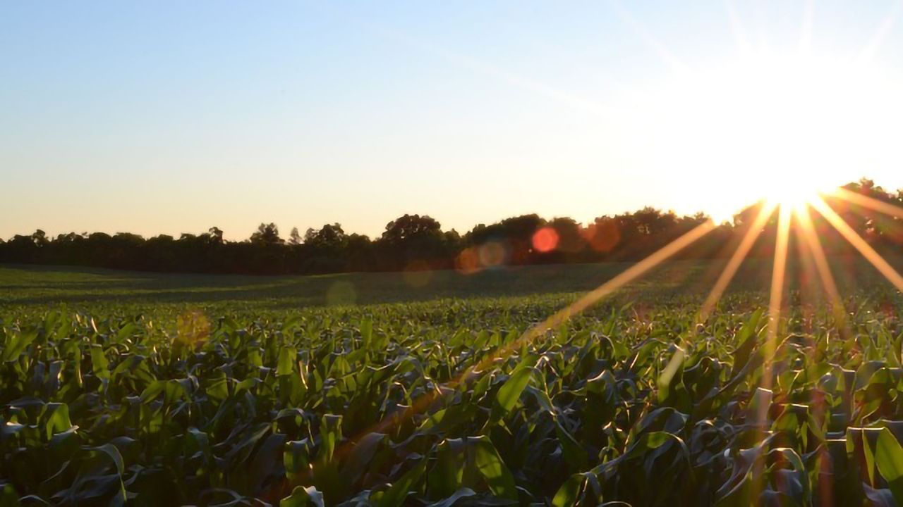 Crop Modeling Points The Way to a Climate Change-proof Future for Agriculture