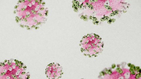 DefiniGEN Launches Tool for Coronavirus-specific Intestinal Cell Research