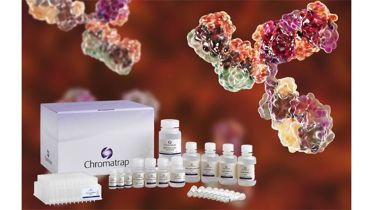 ChIP Kits for High Throughput Antibody Validation