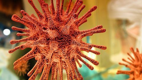 NIH Begins Clinical Trial of Hydroxychloroquine and Azithromycin To Treat COVID-19