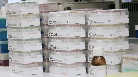 Analysis of SARS-CoV-2 Immune Response Bodes Well for Vaccine Development