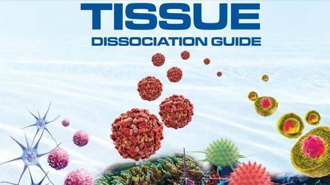 Tissue Dissociation Guide