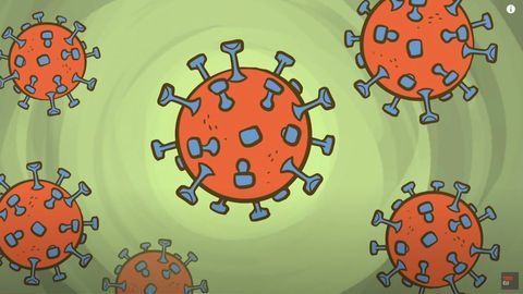 What Is a Coronavirus?
