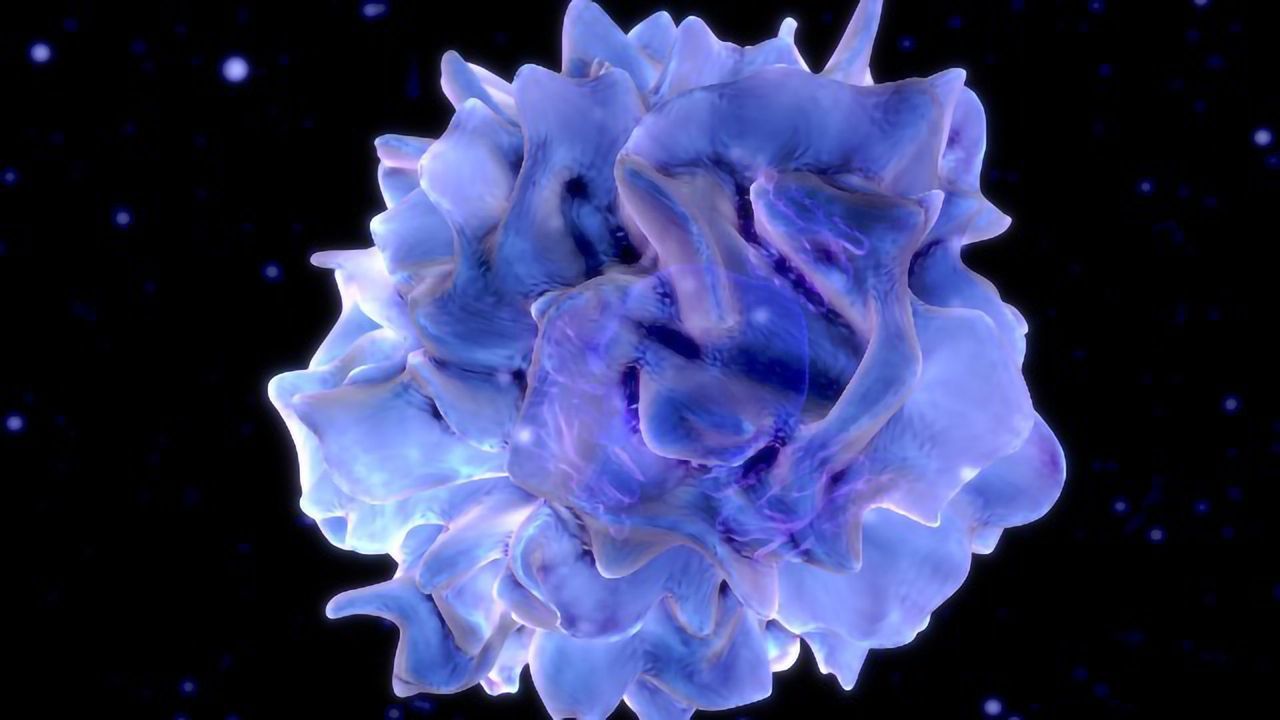 Dendritic Cell Labeling Enables Tracking and Immune Modulation