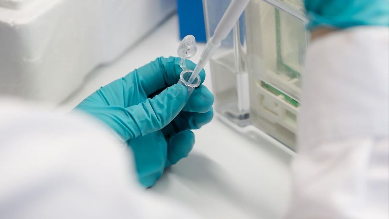 Drug Compound Stops Natural Amino Acids From Entering Cancer Cells