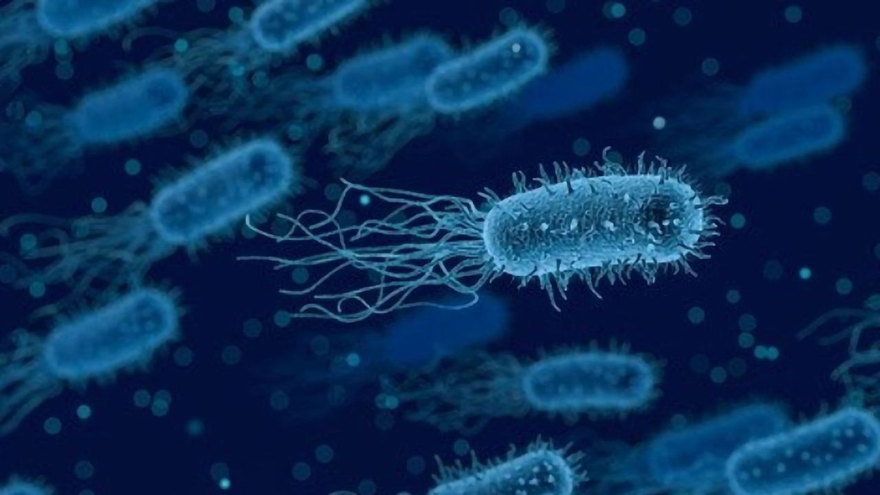 New Intermediate Discovered in Bacterial Cell Wall Synthesis